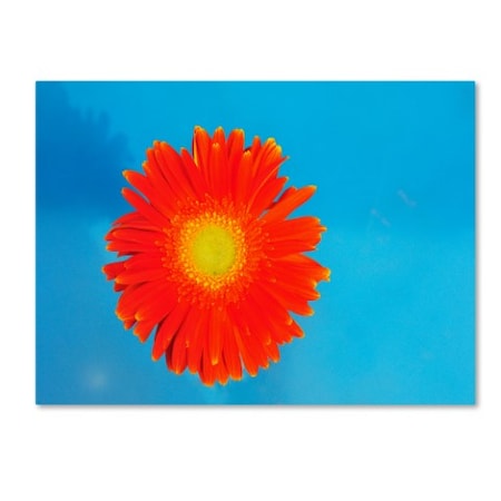 Kurt Shaffer 'Orange And Blue' Canvas Art,16x24